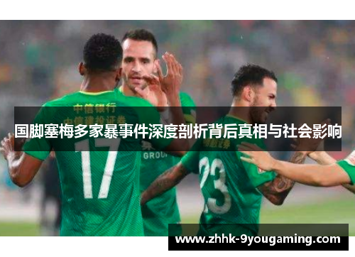 国脚塞梅多家暴事件深度剖析背后真相与社会影响