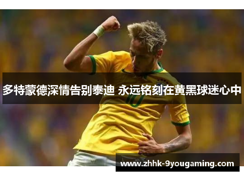 多特蒙德深情告别泰迪 永远铭刻在黄黑球迷心中