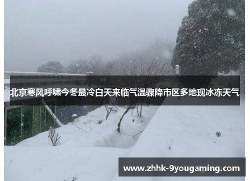 北京寒风呼啸今冬最冷白天来临气温骤降市区多地现冰冻天气