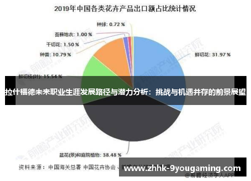 拉什福德未来职业生涯发展路径与潜力分析：挑战与机遇并存的前景展望