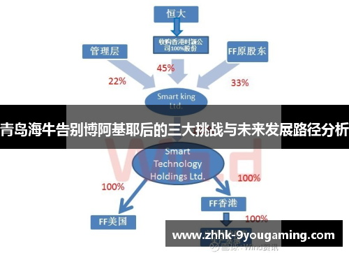 青岛海牛告别博阿基耶后的三大挑战与未来发展路径分析